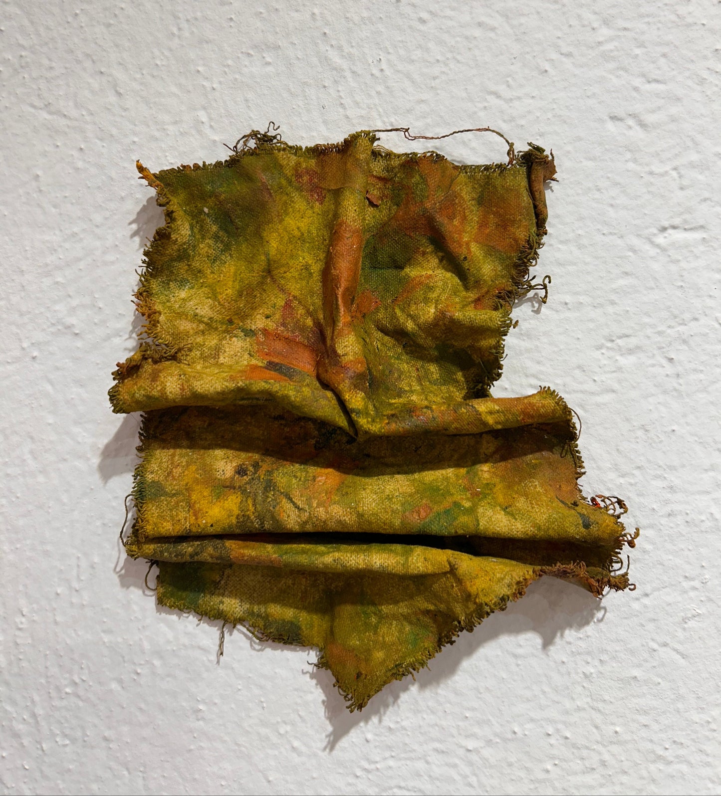 We are Wavelenghts VI