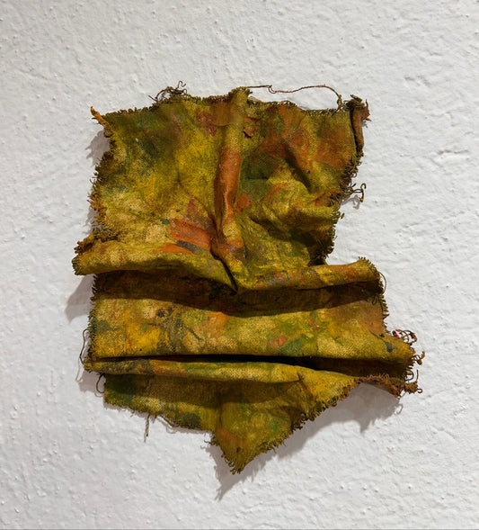 We are Wavelenghts VI