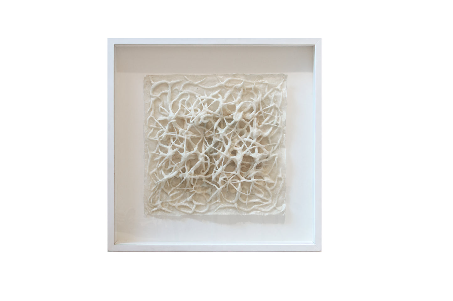 Cameo White on White