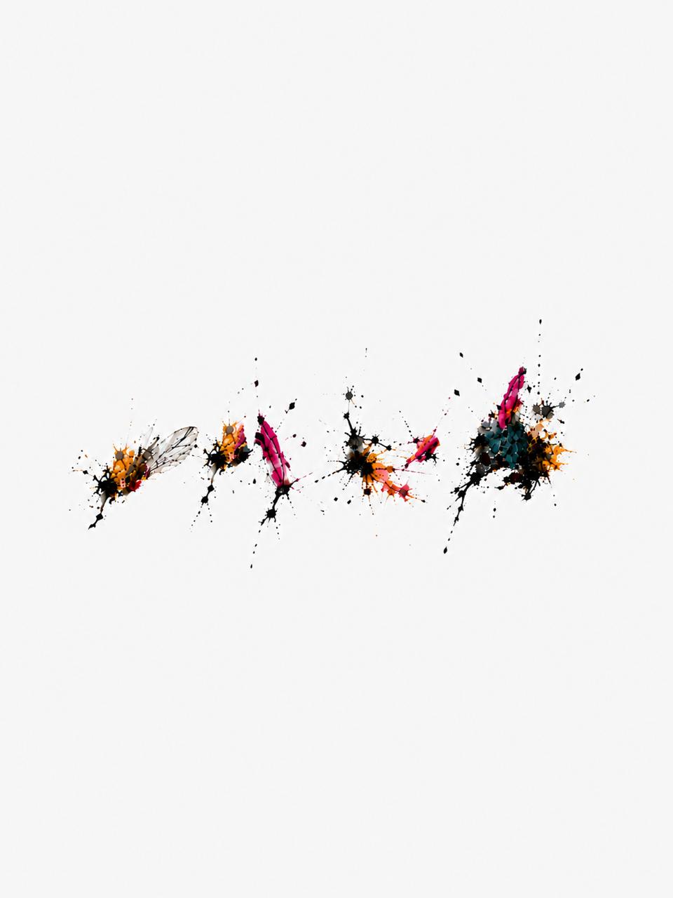Smashed Flies