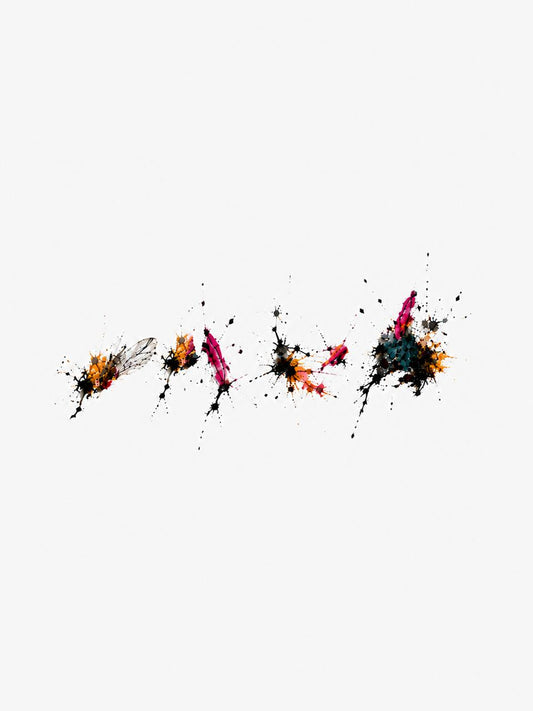 Smashed Flies